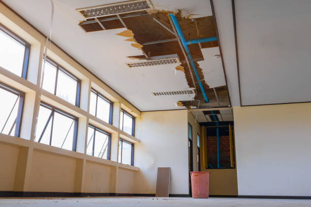 Trusted Pontotoc, MS Water damage restoration Experts