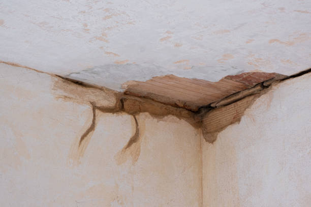 Best Flood damage cleanup  in Pontotoc, MS