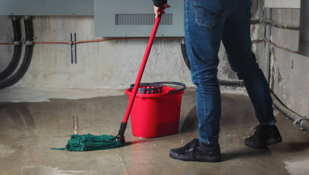 Water damage restoration mold remediation in Pontotoc, MS