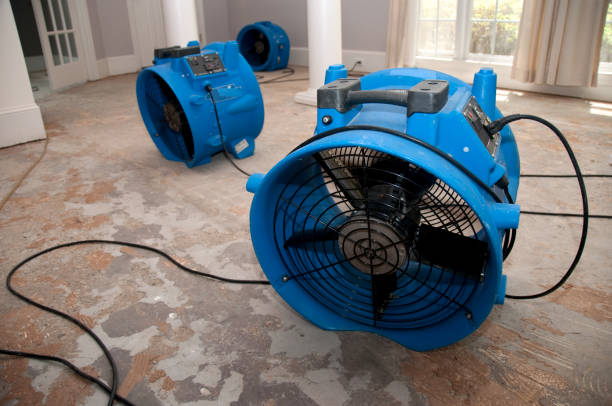 Best Water damage mitigation services  in Pontotoc, MS