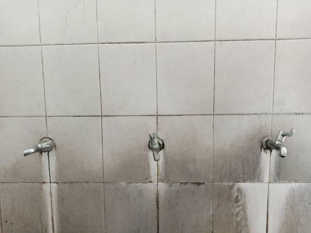 Best 24-hour water damage restoration  in Pontotoc, MS