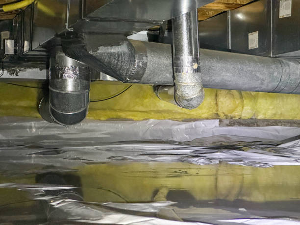 Best Water damage cleanup near me  in Pontotoc, MS