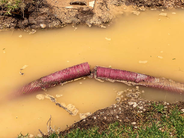 Best 24/7 water damage repair  in Pontotoc, MS